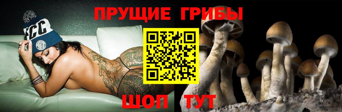 Псилоцибиновые грибы Psilocybe  Псилоцибиновые грибы Magic Shrooms  Вход с VPN  Кудымкар 